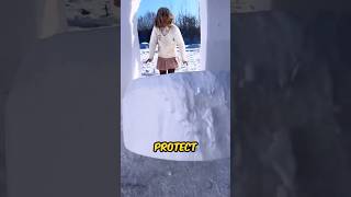 Girl Builds an Amazing Snow Palace for Survival shortsvideo [upl. by Lea]