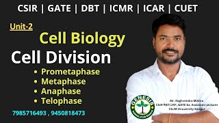 Prometaphase  Metaphase  Anaphase  Telophase  Cell Biology  Unit2 genesisinstitute [upl. by Grubb]