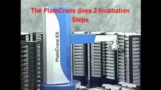 High Throughput ELISA workcell  Lab Automation [upl. by Anaerb]