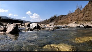 Claming himalayan river sound with peaceful birds chirping [upl. by Johnnie]