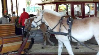 Pony Karrusellen på Prater i Wien [upl. by Yrakaz]