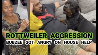 Rottweiler Aggression Bubzee got angry on House Help Nomi Didi  Dog Behavior  Rottweiler Attack [upl. by Notyal]