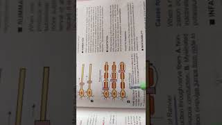 saltatory conduction  cns physiology [upl. by Castra]