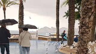 Benidorm Rain [upl. by Arvo]