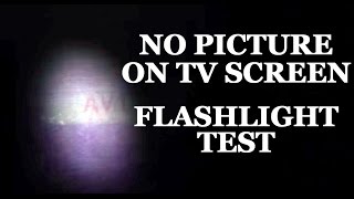 LCD amp LED TV Repair  No Picture No Image amp Blank Black Screen Flashlight Test  Fix LCD amp LED TVs [upl. by Ultan]