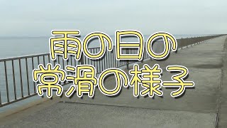 雨の日の常滑りんくう釣り護岸の様子 [upl. by Otaner]