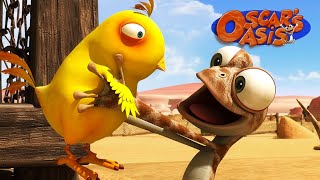 Oscars Baby Chicken Oscar’s Oasis  Funny Cartoons for Kids [upl. by Elene]