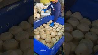 The Best Coconut Packaging Process in Thailand [upl. by Erine117]