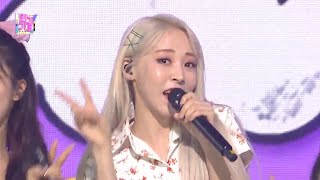 마마무MAMAMOO  쟤가 걔야Waggy 교차편집Stage Mix [upl. by Haile]