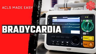 ACLS Bradycardia Algorithm [upl. by Nima]