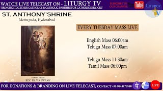 Fr Christuraj SHS  Tuesday Telugu Mass 1130am  StAnthonys Shrine Mettuguda  51124 [upl. by Clementis401]