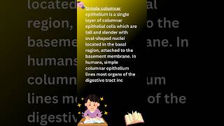 Simple columnar epithelium columnarepithelium epithelialtissue types youtubeshorts shorts [upl. by Artied]