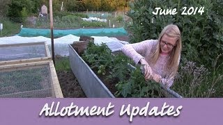 Katies Allotment  June 2014  Allotment Updates [upl. by Maitland31]