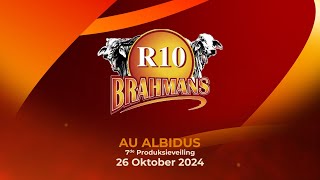 R10 Brahmane [upl. by Jim]