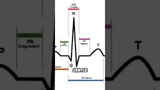 How Pacemakers Changed Heart Science Forever [upl. by Esmond]