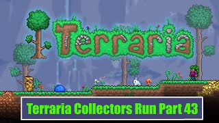 Building our Sea Side Shack Shop Terraria Collector Playthrough Part 43 [upl. by Queridas]