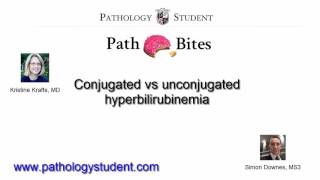 Path Bites Conjugated vs unconjugated hyperbilirubinemia [upl. by Ojytteb]