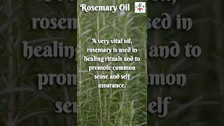 Rosemary Oil [upl. by Gainor]