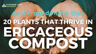 20 plants that thrive in ERICACEOUS compost  EVERBEE  Ldn GARDEN [upl. by Yelbmik]