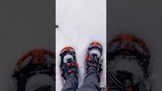 ❄️ Snowshoeing in Yosemite National Park [upl. by Eliades]