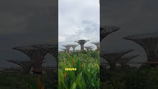 Gardens by the Bay Singapore [upl. by Rosalinde]