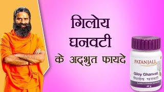 गिलोय घनवटी Giloy Vati के अद्भुत फायदे  Swami Ramdev [upl. by Sidran]