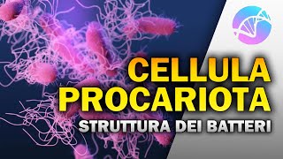 LE PROVE DELLEVOLUZIONE BIOLOGICA [upl. by Vanderhoek209]