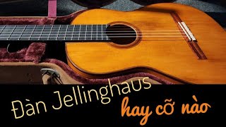 Đàn guitar Jellinghaus HAY CỠ NÀO  xem clip thấy nhói tim [upl. by Zilla]