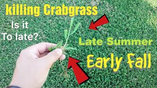 Killing Crabgrass late Summer Early Fall plus Quinclorac 75 DF Ugly lawn fix [upl. by Acirat]