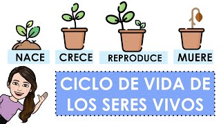 Ciclo de vida de los seres vivos con ejemplos [upl. by Buhler]