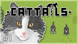 Our Twin amp Kitty Mentor  Cattails Lets Play  Episode 1 [upl. by Hallimaj5]