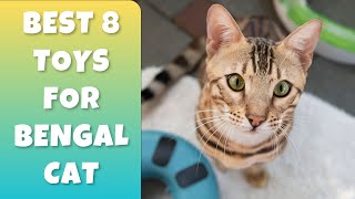 Best 8 Toys Your Bengal Cat Will Love [upl. by Anilram]