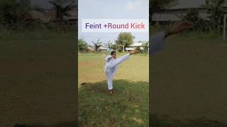 Feint Round Kick [upl. by Gilberta]