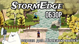 ДРАЙВОВЫЙ РОГАЛИК на Nintendo Switch  ОБЗОР StormEdge  магия вне пикселей [upl. by Nosreffej]