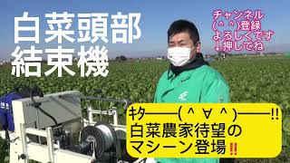 白菜頭部結束機「東洋精機株式会社」 [upl. by Calbert]