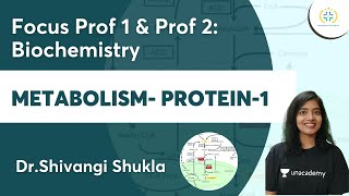 MetabolismProtein1  Focus Prof 1 amp Prof 2 Biochemistry  Unacademy Future Doctors  DrShivangi [upl. by Mateya]