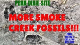 More Smoke Creek Trilobites Penn Dixie Dig with the Experts Fossil Hunting amp Collecting with Chris [upl. by Nibbor]