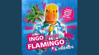 Ingo ohne Flamingo Hitmix Saufen morgens mittags abends  Hartz 4 und der Tag gehört dir [upl. by Kasper]