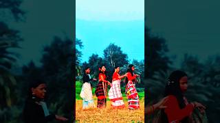 Char Baje Aana Dulod santali love video [upl. by Beaston961]