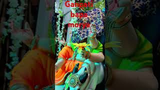 Ganpati bappa morya sejpal family cha maharajashotsvideo [upl. by Spears]