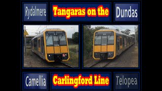 SOV41 Tangaras on the Carlingford Line [upl. by Berga]