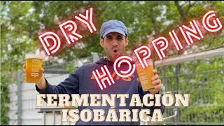 FERMENTACIÓN ISOBÁRICA Dry Hopping Purga y limpieza de barriles [upl. by Essilec865]