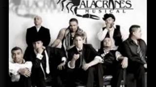 alacranes musical espinoza pazcomo una gelatina buen audio [upl. by Eisinger]