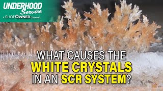 What Causes the White Crystals in an SCR System [upl. by Nayrb804]