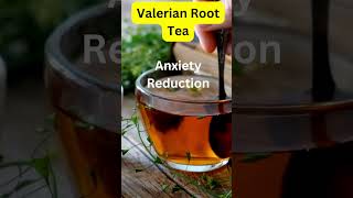 Unwind Naturally Valerian Root Tea Benefits Explained tea wellnesstea herbalremedy [upl. by Xylia]