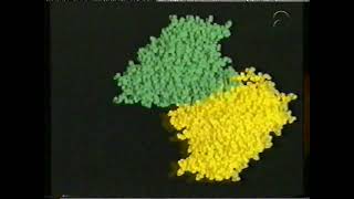 BioBits Programma 29 Blok 58 RNA en DNA bij prokaryoten deel 2 [upl. by Mannos]