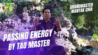 Passing energy and Microcosmic Orbit activation Initiations by legendary Taoist Master Mantak Chia [upl. by Nikki]