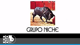 La Negra No Quiere No Hay Quinto Malo Grupo Niche  Audio [upl. by Annahsed]