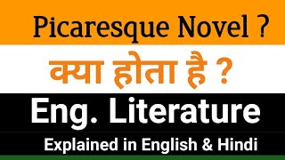 What is Novel   Picaresque Novel किसे बोलते है   Picaresque Novel with Elements and Examples [upl. by Bobseine]