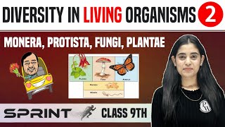 Diversity in Living Organisms 02  Monera Protista Fungi Plantae  Class 9  NCERT  Sprint [upl. by Zitvaa]